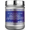 Mega Arginine (MHD 10.2024)