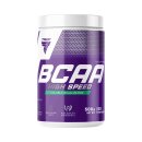 BCAA High Speed 500g Cactus